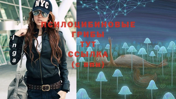 прущий лед Алексеевка