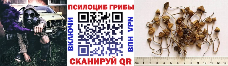 Псилоцибиновые грибы Magic Shrooms  блэк спрут сайт  Менделеевск 